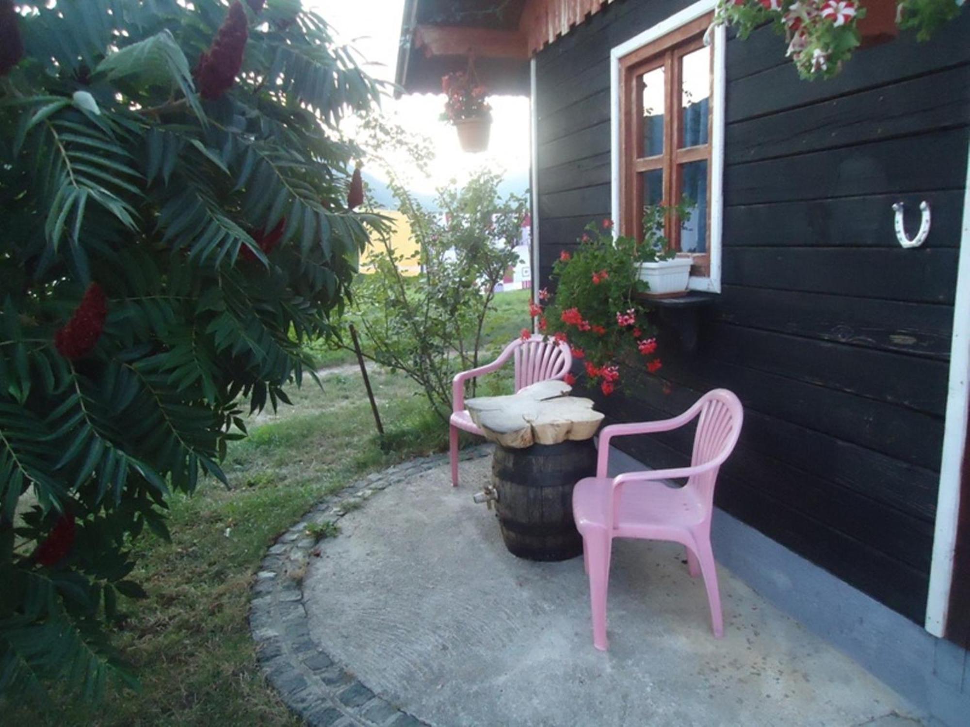 House Ilija Hodak Seliste Dreznicko Ruang foto