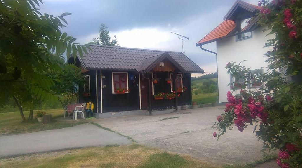 House Ilija Hodak Seliste Dreznicko Bagian luar foto